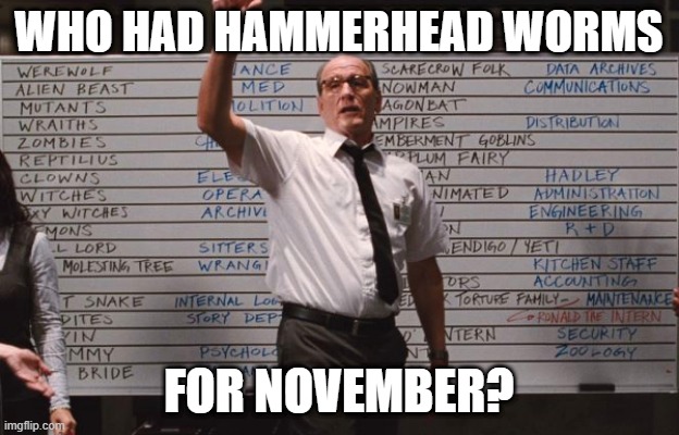 Who had Hammerhead Worms for November? | WHO HAD HAMMERHEAD WORMS; FOR NOVEMBER? | image tagged in cabin the the woods | made w/ Imgflip meme maker
