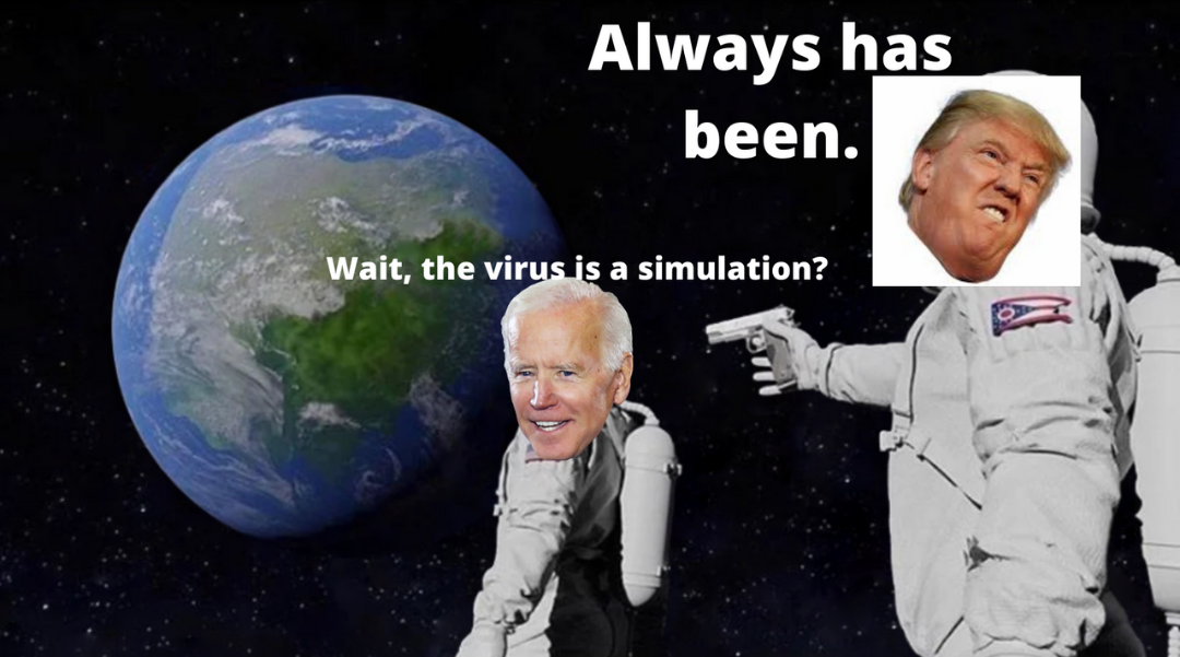 The virus is a simulation? Blank Meme Template