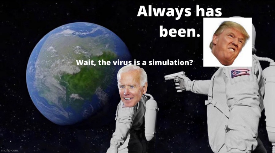 The virus is just a simulation? | image tagged in the virus is a simulation,why did i make this | made w/ Imgflip meme maker