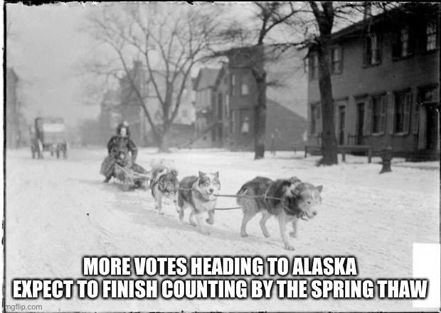 Dog Sled | MORE VOTES HEADING TO ALASKA
EXPECT TO FINISH COUNTING BY THE SPRING THAW | image tagged in dog sled | made w/ Imgflip meme maker