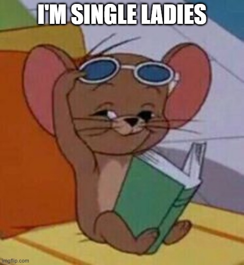 I'M SINGLE LADIES | image tagged in mouse,cool | made w/ Imgflip meme maker