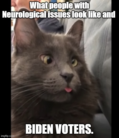 What people with Neurological issues look like and BIDEN VOTERS. | made w/ Imgflip meme maker