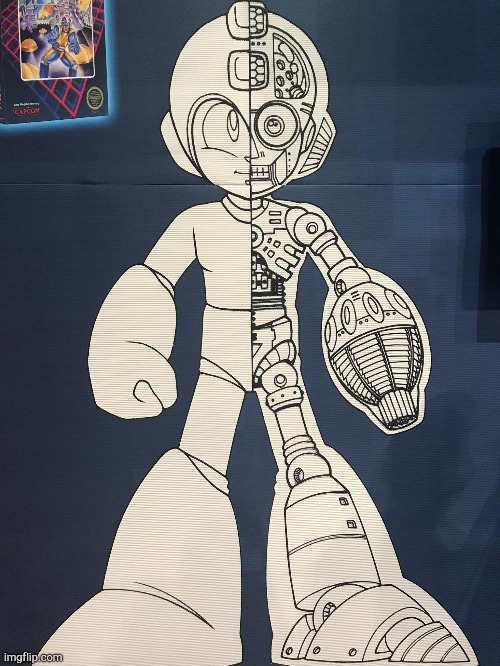 Megaman Cringe | image tagged in megaman skeleton | made w/ Imgflip meme maker