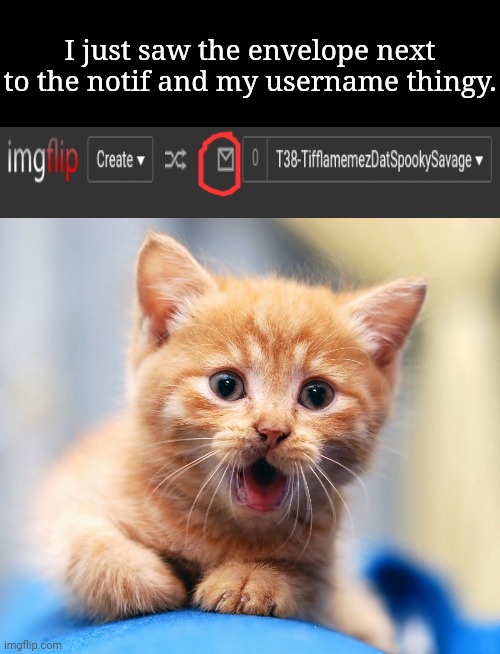 Oh wow | I just saw the envelope next to the notif and my username thingy. | image tagged in oh wow,imgflip,memes,meme,feature,new feature | made w/ Imgflip meme maker