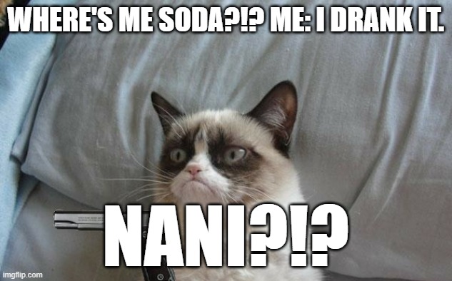 Grumpy cat gun | WHERE'S ME SODA?!? ME: I DRANK IT. NANI?!? | image tagged in grumpy cat gun,memes | made w/ Imgflip meme maker