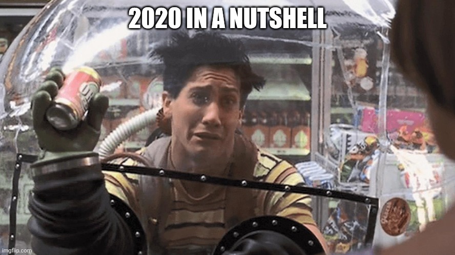 Bubble Life | 2020 IN A NUTSHELL | image tagged in quarantine,2020,covid-19 | made w/ Imgflip meme maker