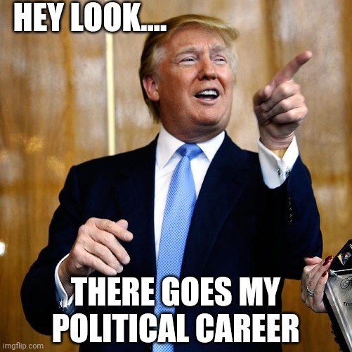 Donald Trump | HEY LOOK.... THERE GOES MY POLITICAL CAREER | image tagged in donald trump,funny,memes,news,politics,trump | made w/ Imgflip meme maker