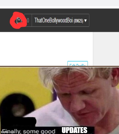 Now I don't have to go to my profile in order to get to messages | UPDATES | image tagged in gordon ramsay finally some good censored ed | made w/ Imgflip meme maker