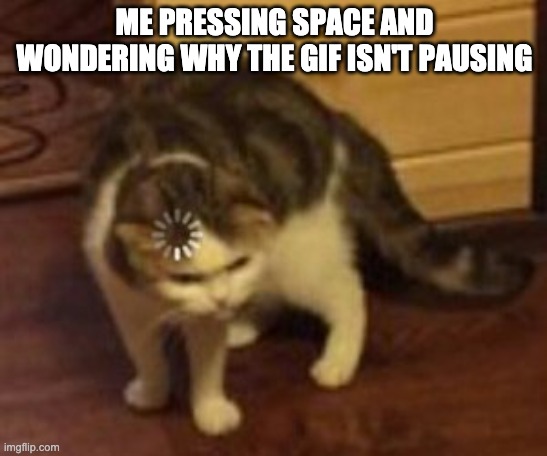 too much youtube :/ | ME PRESSING SPACE AND WONDERING WHY THE GIF ISN'T PAUSING | image tagged in loading cat | made w/ Imgflip meme maker