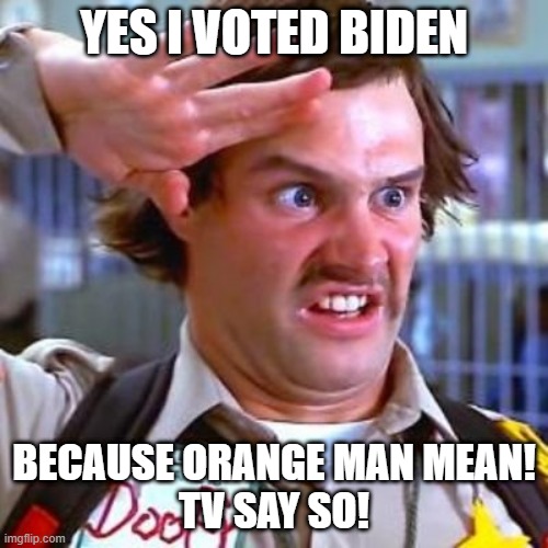 Biden voter | YES I VOTED BIDEN; BECAUSE ORANGE MAN MEAN!
TV SAY SO! | image tagged in biden voter,democrat voter | made w/ Imgflip meme maker