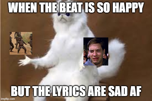 hmm..to dance or to cry | WHEN THE BEAT IS SO HAPPY; BUT THE LYRICS ARE SAD AF | image tagged in angry cat meme | made w/ Imgflip meme maker