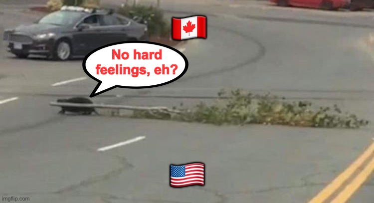 I have one job. | 🇨🇦; No hard feelings, eh? 🇺🇸 | image tagged in beaver,border wall,memes,funny | made w/ Imgflip meme maker