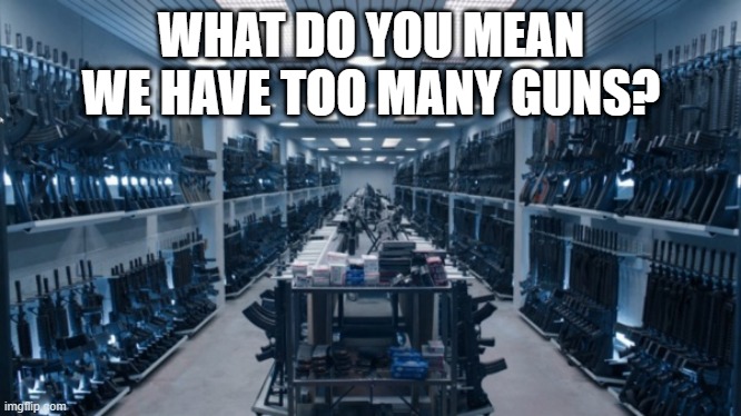 If things go south, take one, pass it down | WHAT DO YOU MEAN WE HAVE TOO MANY GUNS? | image tagged in gun room,2nd amendment | made w/ Imgflip meme maker