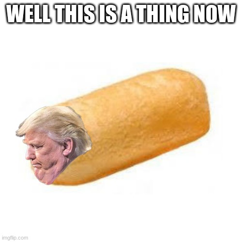 Trump-Winkie | WELL THIS IS A THING NOW | image tagged in trump-winkie,why did i make this | made w/ Imgflip meme maker