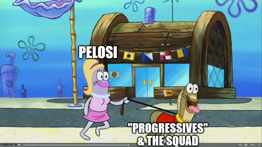 How Murican politics works. | PELOSI; "PROGRESSIVES"
& THE SQUAD | image tagged in spongebob,leash,walk,spongebob meme | made w/ Imgflip meme maker