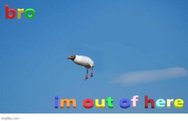 made w/ Imgflip meme maker