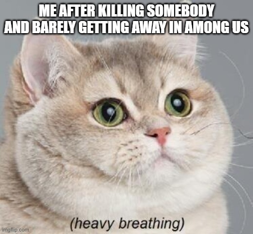 Heavy Breathing Cat | ME AFTER KILLING SOMEBODY AND BARELY GETTING AWAY IN AMONG US | image tagged in memes,heavy breathing cat | made w/ Imgflip meme maker