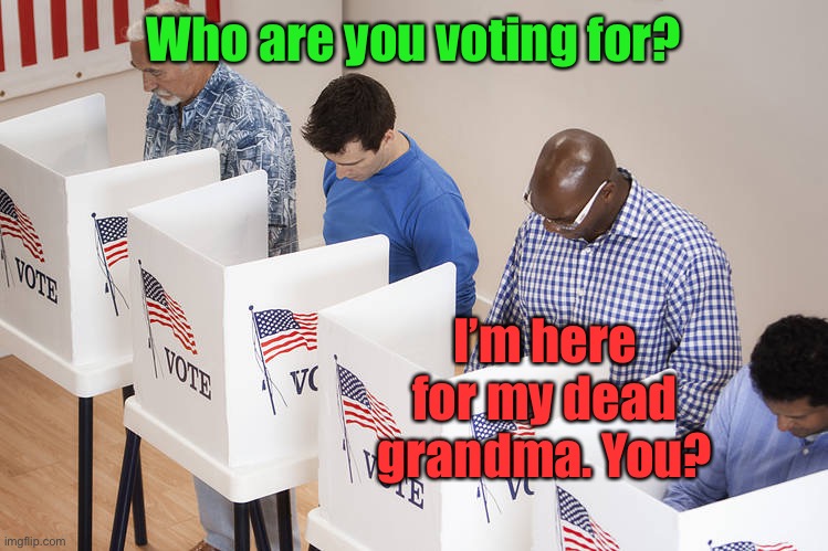 Voters | Who are you voting for? I’m here for my dead grandma. You? | image tagged in voters | made w/ Imgflip meme maker