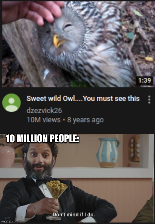 You must see this | 10 MILLION PEOPLE: | image tagged in dont mind if i do,cute owl,must see,10 million views | made w/ Imgflip meme maker