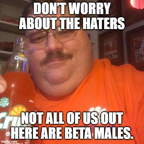 DON’T WORRY ABOUT THE HATERS; NOT ALL OF US OUT HERE ARE BETA MALES. | image tagged in AdviceAnimals | made w/ Imgflip meme maker