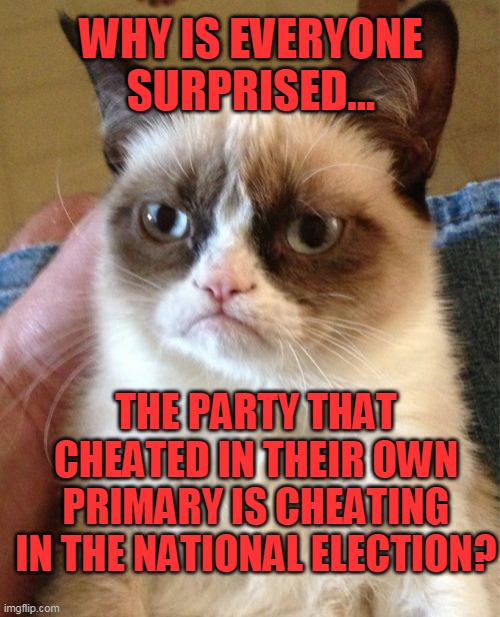 Has there ever been a time when Democrats didn't cheat? | WHY IS EVERYONE SURPRISED... THE PARTY THAT CHEATED IN THEIR OWN PRIMARY IS CHEATING IN THE NATIONAL ELECTION? | image tagged in memes,grumpy cat,democrats,voter fraud,maga 2020,liberals | made w/ Imgflip meme maker