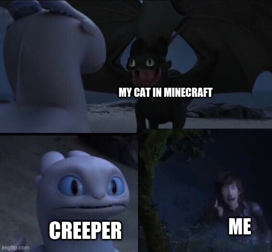 MC cat creeper | MY CAT IN MINECRAFT; ME; CREEPER | image tagged in how to train your dragon 3,cat,creeper,minecraft | made w/ Imgflip meme maker