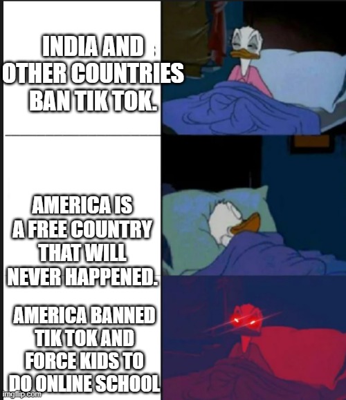 Donald Duck awake | INDIA AND OTHER COUNTRIES BAN TIK TOK. AMERICA IS A FREE COUNTRY THAT WILL NEVER HAPPENED. AMERICA BANNED TIK TOK AND FORCE KIDS TO DO ONLINE SCHOOL | image tagged in donald duck awake | made w/ Imgflip meme maker