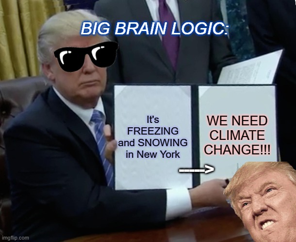 Trump Bill Signing | BIG BRAIN LOGIC:; WE NEED CLIMATE CHANGE!!! It's FREEZING and SNOWING in New York; -----> | image tagged in memes,trump bill signing,trump 2020,election 2020,donald trump,logic | made w/ Imgflip meme maker
