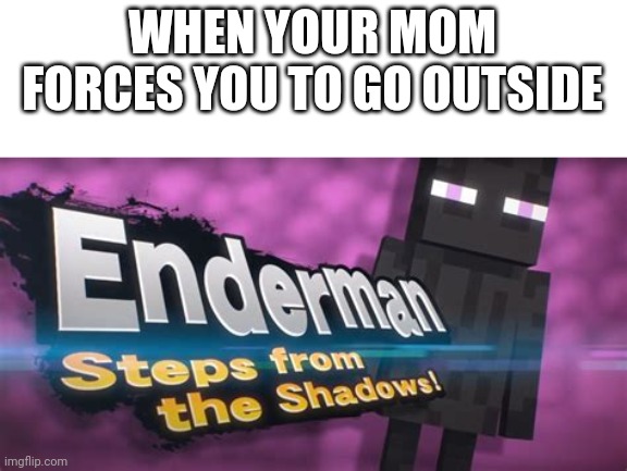 (I don't know what to put here) | WHEN YOUR MOM FORCES YOU TO GO OUTSIDE | image tagged in minecraft,super smash bros,mom | made w/ Imgflip meme maker