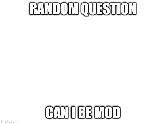 Blank White Template | RANDOM QUESTION; CAN I BE MOD | image tagged in blank white template | made w/ Imgflip meme maker