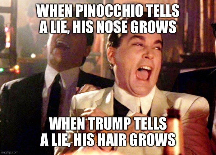 Good Fellas Hilarious | WHEN PINOCCHIO TELLS A LIE, HIS NOSE GROWS; WHEN TRUMP TELLS A LIE, HIS HAIR GROWS | image tagged in memes,good fellas hilarious | made w/ Imgflip meme maker
