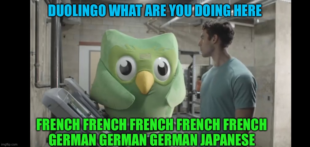 At the gym | DUOLINGO WHAT ARE YOU DOING HERE; FRENCH FRENCH FRENCH FRENCH FRENCH
GERMAN GERMAN GERMAN JAPANESE | image tagged in at the gym | made w/ Imgflip meme maker