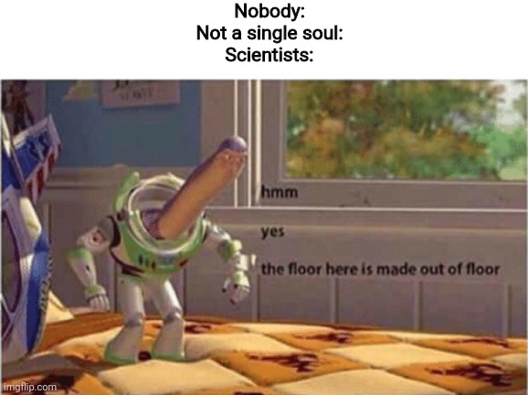 hmm yes the floor here is made out of floor | Nobody:
Not a single soul:
Scientists: | image tagged in hmm yes the floor here is made out of floor | made w/ Imgflip meme maker