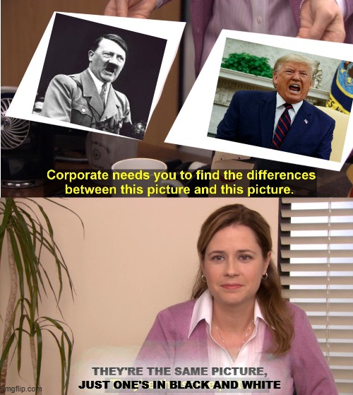 They're The Same Picture Meme | THEY'RE THE SAME PICTURE, JUST ONE'S IN BLACK AND WHITE | image tagged in memes,they're the same picture | made w/ Imgflip meme maker