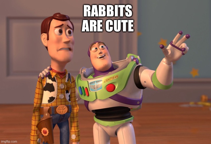 X, X Everywhere Meme | RABBITS
ARE CUTE | image tagged in memes,x x everywhere | made w/ Imgflip meme maker