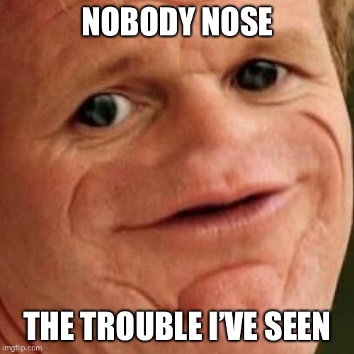 SOSIG | NOBODY NOSE; THE TROUBLE I’VE SEEN | image tagged in sosig | made w/ Imgflip meme maker