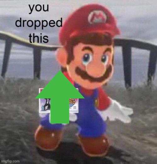 Mario You dropped this | image tagged in mario you dropped this | made w/ Imgflip meme maker