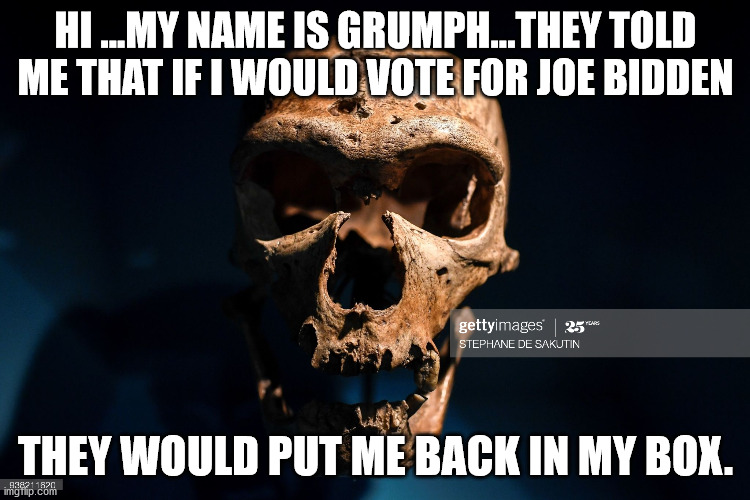 neandertal vote | HI ...MY NAME IS GRUMPH...THEY TOLD ME THAT IF I WOULD VOTE FOR JOE BIDDEN; THEY WOULD PUT ME BACK IN MY BOX. | image tagged in caveman | made w/ Imgflip meme maker