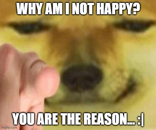 Cheems Pointing At You |  WHY AM I NOT HAPPY? YOU ARE THE REASON... :| | image tagged in cheems pointing at you | made w/ Imgflip meme maker
