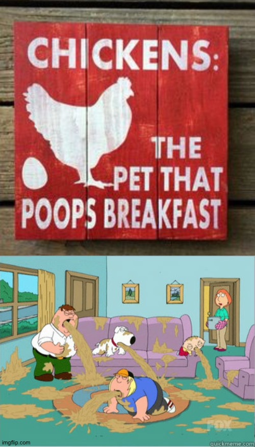 Thx I hate chickens. They should've never said that (I'm not sure if this is acceptable or not but pls accept it) | image tagged in vomit family guy,funny,gross | made w/ Imgflip meme maker