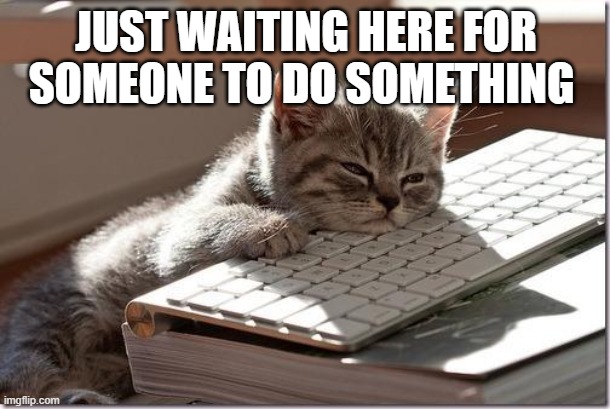 Bored Keyboard Cat | JUST WAITING HERE FOR SOMEONE TO DO SOMETHING | image tagged in bored keyboard cat | made w/ Imgflip meme maker
