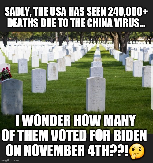 Voting from the grave | SADLY, THE USA HAS SEEN 240,000+ DEATHS DUE TO THE CHINA VIRUS... I WONDER HOW MANY OF THEM VOTED FOR BIDEN 
ON NOVEMBER 4TH??!🤔 | image tagged in voter fraud,check every vote,the great recount,check voter register for deceased loved ones | made w/ Imgflip meme maker