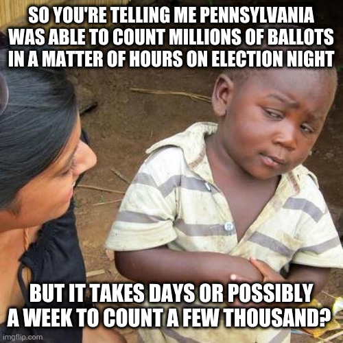 not suspicious at allll | SO YOU'RE TELLING ME PENNSYLVANIA WAS ABLE TO COUNT MILLIONS OF BALLOTS IN A MATTER OF HOURS ON ELECTION NIGHT; BUT IT TAKES DAYS OR POSSIBLY A WEEK TO COUNT A FEW THOUSAND? | image tagged in memes,third world skeptical kid | made w/ Imgflip meme maker