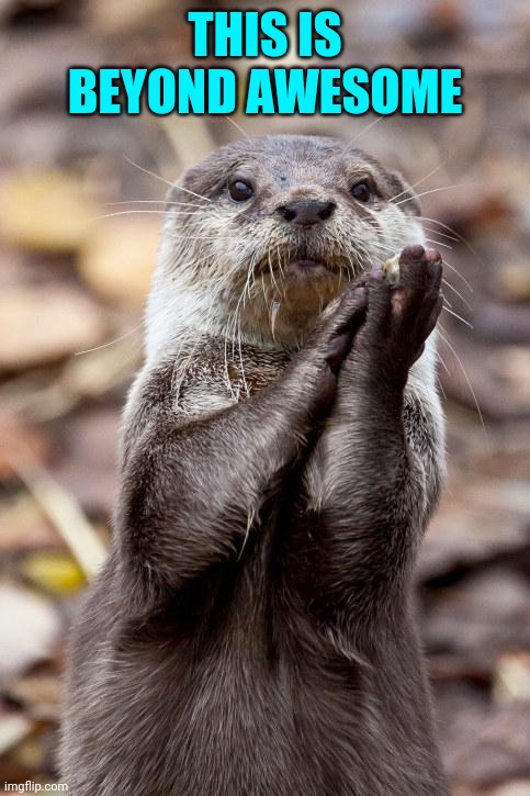 Slow-Clap Otter | THIS IS BEYOND AWESOME | image tagged in slow-clap otter | made w/ Imgflip meme maker