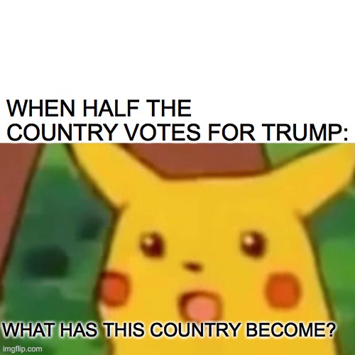 Surprised Pikachu | WHEN HALF THE COUNTRY VOTES FOR TRUMP:; WHAT HAS THIS COUNTRY BECOME? | image tagged in memes,surprised pikachu | made w/ Imgflip meme maker