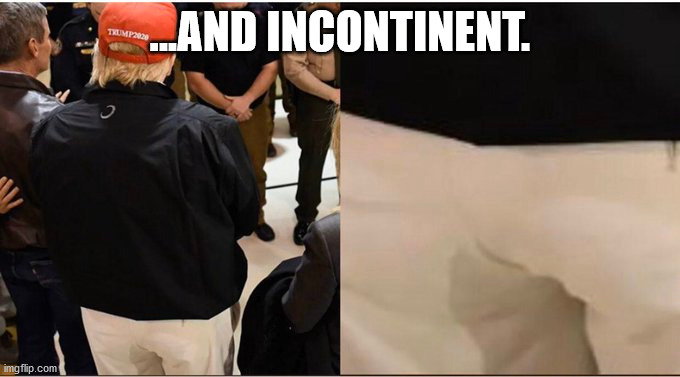 ...AND INCONTINENT. | made w/ Imgflip meme maker