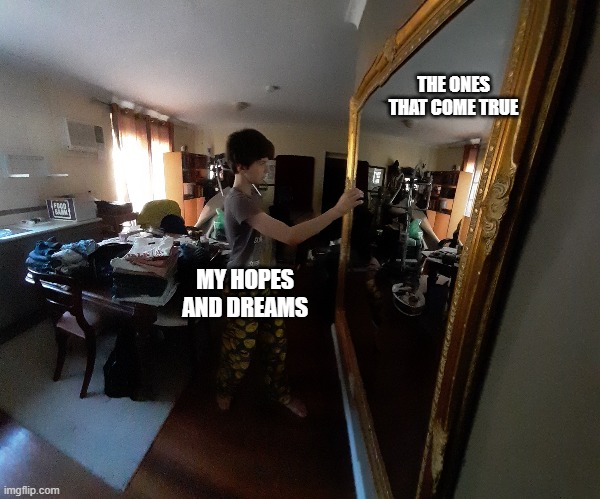 my hopes and dreams | THE ONES THAT COME TRUE; MY HOPES AND DREAMS | image tagged in mirror | made w/ Imgflip meme maker