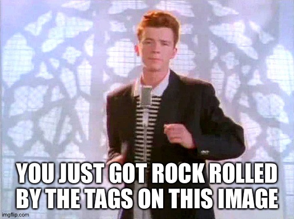 rickrolling | YOU JUST GOT ROCK ROLLED BY THE TAGS ON THIS IMAGE | image tagged in rickrolling | made w/ Imgflip meme maker