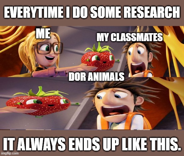 Cloudy with a chance of meatballs | EVERYTIME I DO SOME RESEARCH; ME; MY CLASSMATES; DOR ANIMALS; IT ALWAYS ENDS UP LIKE THIS. | image tagged in cloudy with a chance of meatballs | made w/ Imgflip meme maker