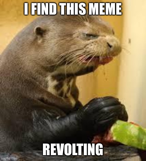 Disgusted Otter | I FIND THIS MEME REVOLTING | image tagged in disgusted otter | made w/ Imgflip meme maker